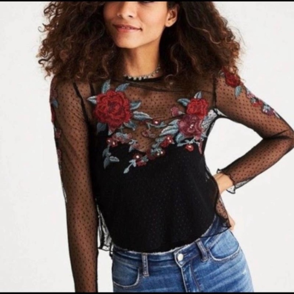 Y2K Sheer Top with Flower Embroidery Whimisgoth Fairy Grunge